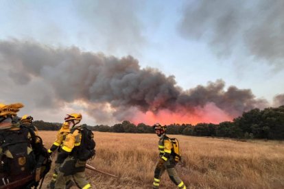 Operativo de extinción de incendios en Molezuela de Carballeda (Zamora).