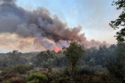 Operativo de extinción de incendios en Molezuela de Carballeda (Zamora).