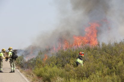 Incendio en Puercas, en Zamora.