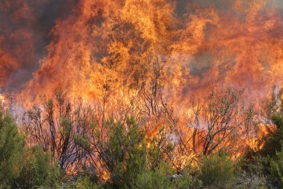 Incendio en Puercas, en Zamora.