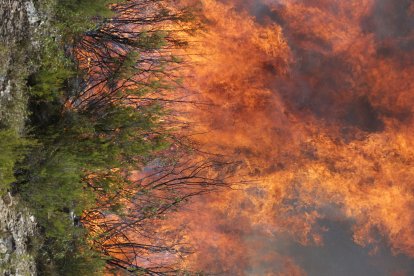 Incendio en Puercas, en Zamora.