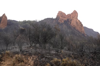Efectos del incendio en Las Médulas.