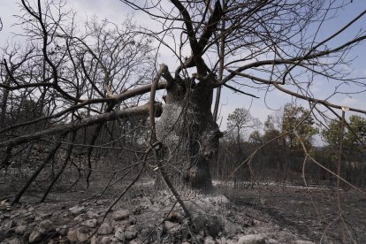 Efectos del incendio en Las Médulas.