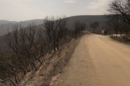 Efectos del incendio en Las Médulas.