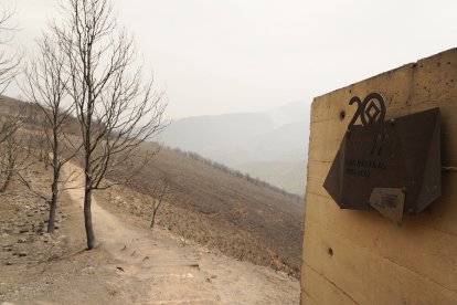 Efectos del incendio en Las Médulas.