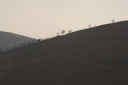 Efectos del incendio en Las Médulas.