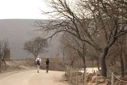 Efectos del incendio en Las Médulas.