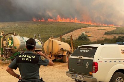 Incendio forestal de Molezuelas de la Carballeda, Zamora