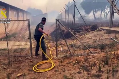 Incendio forestal de Molezuelas de la Carballeda, Zamora