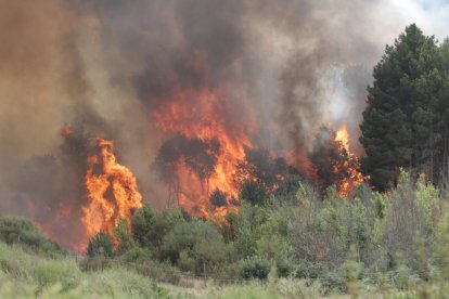 Incendio en Abejera y Ríofrio de Aliste, en Zamora
