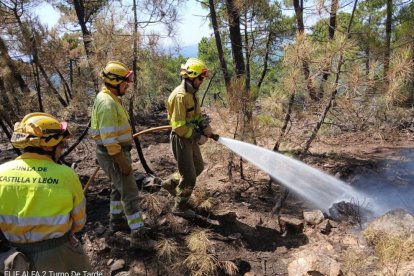 Efectivos trabajan en el incendio de Molezuelas de la Carballeda en Zamora.
