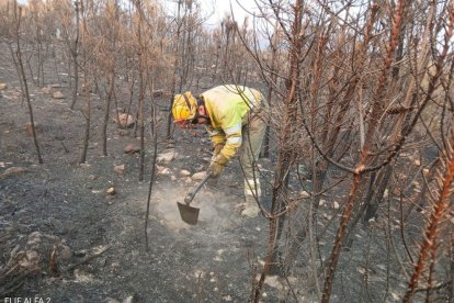 Efectivos trabajan en el incendio de Molezuelas de la Carballeda en Zamora.