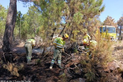 Efectivos trabajan en el incendio de Molezuelas de la Carballeda en Zamora.