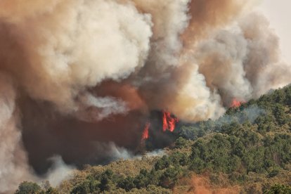 Incendio forestal cercano a la población de El Payo (Salamanca) de nivel 2.