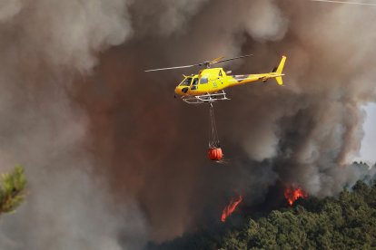 Incendio forestal cercano a la población de El Payo (Salamanca) de nivel 2.