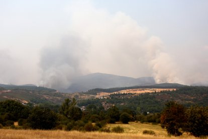 Incendio en Anllares del Sil (León)