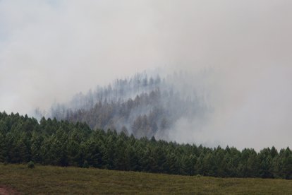 Incendio en Anllares del Sil (León)