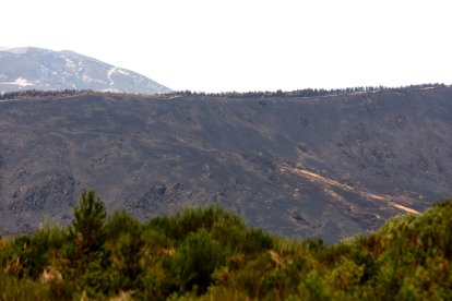 Incendio en Orallo (León)