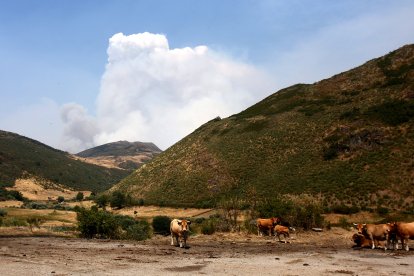 Incendio en Orallo (León)