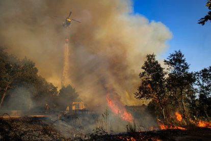 Incendio forestal en El Payo (Salamanca) en nivel 2. La proximidad de las llamas obliga a evacuar a los vecinos de El Payo (Salamanca)