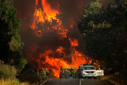 Incendio forestal en El Payo (Salamanca) en nivel 2. La proximidad de las llamas obliga a evacuar a los vecinos de El Payo (Salamanca)