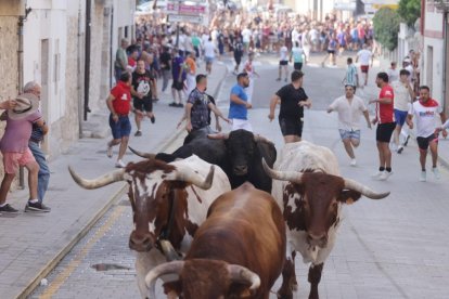 Imagen del segundo encierro de Peñafiel