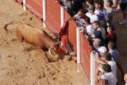 Imagen de la capea de Peñafiel