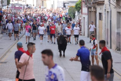 Imagen del segundo encierro de Peñafiel