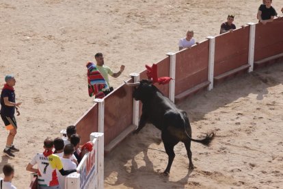 Imagen de la capea en Peñafiel