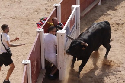 Imagen de la capea en Peñafiel