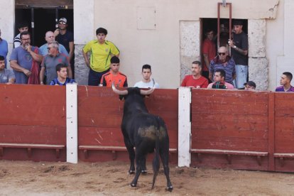 Imagen de la capea en Peñafiel