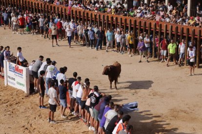 Imagen de la capea en Peñafiel