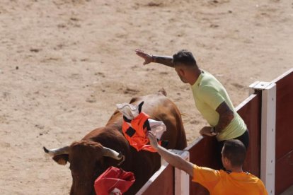 Imagen de la capea en Peñafiel