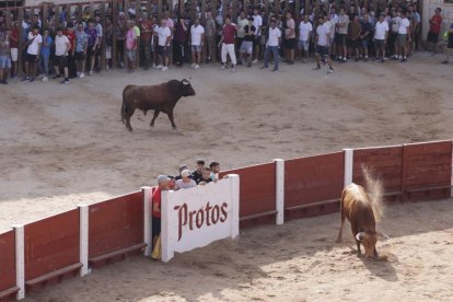 Imagen de la capea en Peñafiel