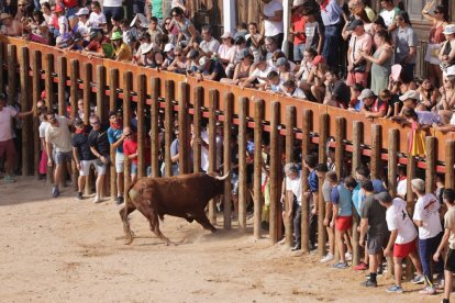 Imagen de la capea en Peñafiel