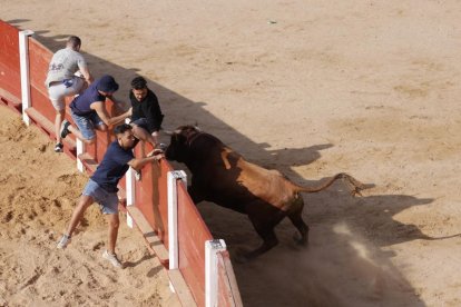 Imagen de la capea en Peñafiel