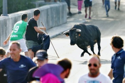 Imagen del encierro del Toro de San Roque en Tudela