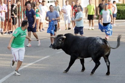 Imagen del encierro del Toro de San Roque en Tudela