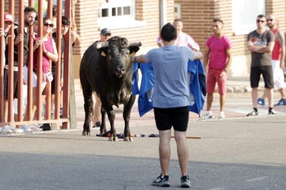 Imagen del encierro del Toro de San Roque en Tudela