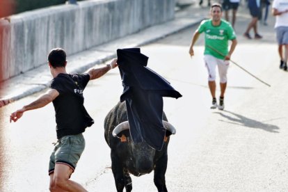 Imagen del encierro del Toro de San Roque en Tudela