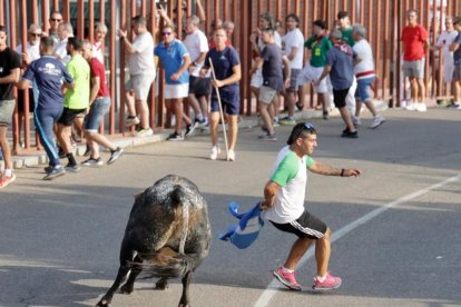 Imagen del encierro del Toro de San Roque en Tudela