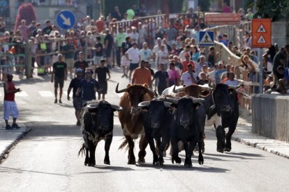 Imagen del tercer encierro en Tudela