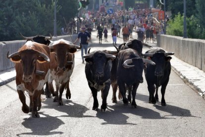 Imagen del tercer encierro en Tudela