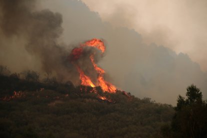 Incendio en Fasgar (León).