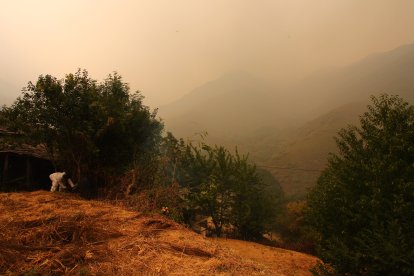 Vecinos de Lusio (León), realizan desbroces alrededor del pueblo ante la posible llegada del incendio