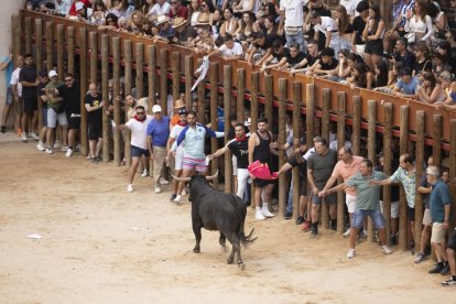 Imagen del encierro y la capea en Peñafiel