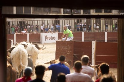 Imagen del encierro y la capea en Peñafiel