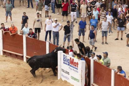 Imagen del encierro y la capea en Peñafiel