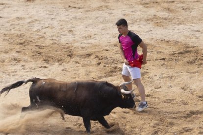 Imagen del encierro y la capea en Peñafiel