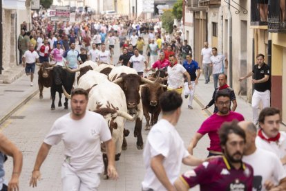 Imagen del encierro y la capea en Peñafiel